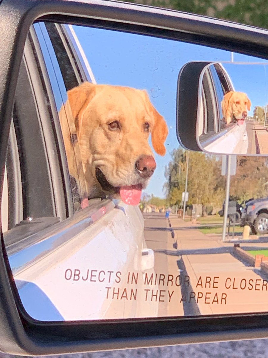 Michael E. Smith tweet media