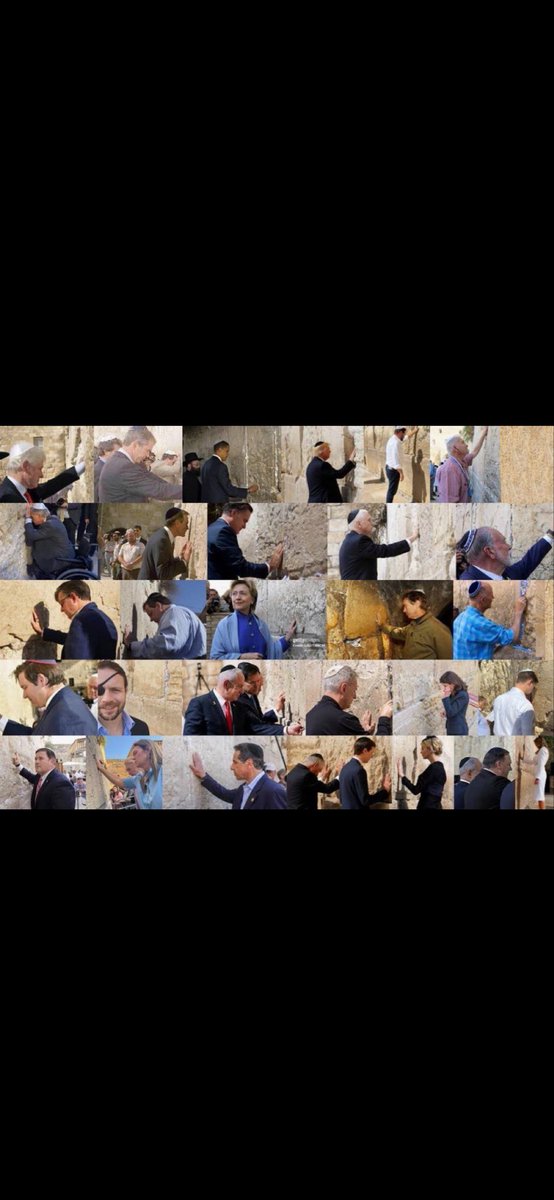 Patsy 🇮🇪 🇵🇸 tweet media