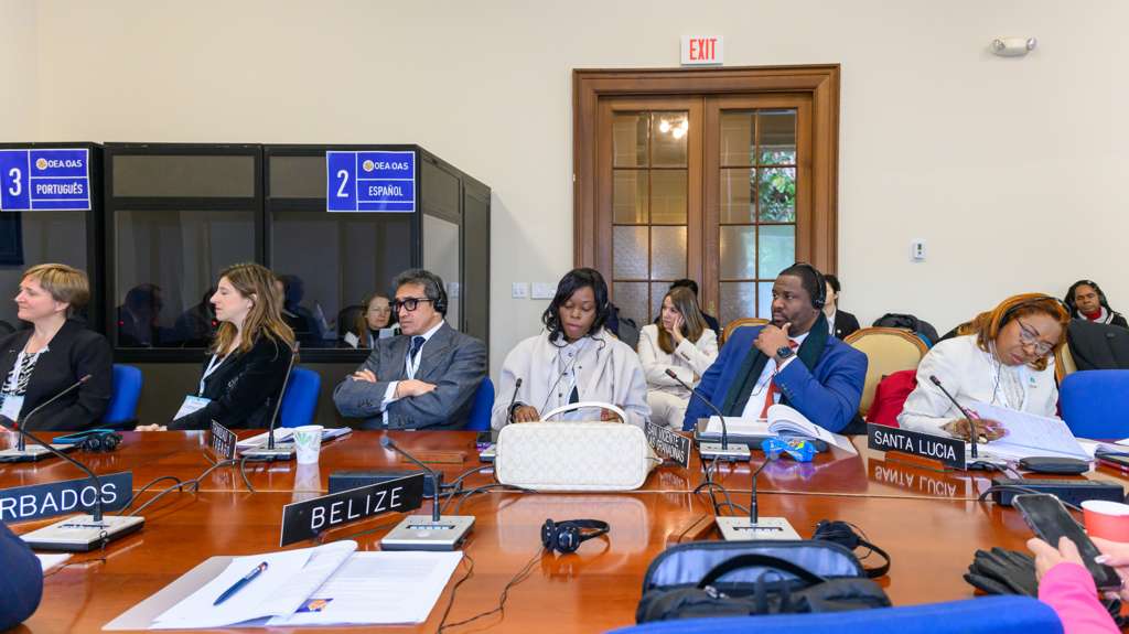 OAS tweet media