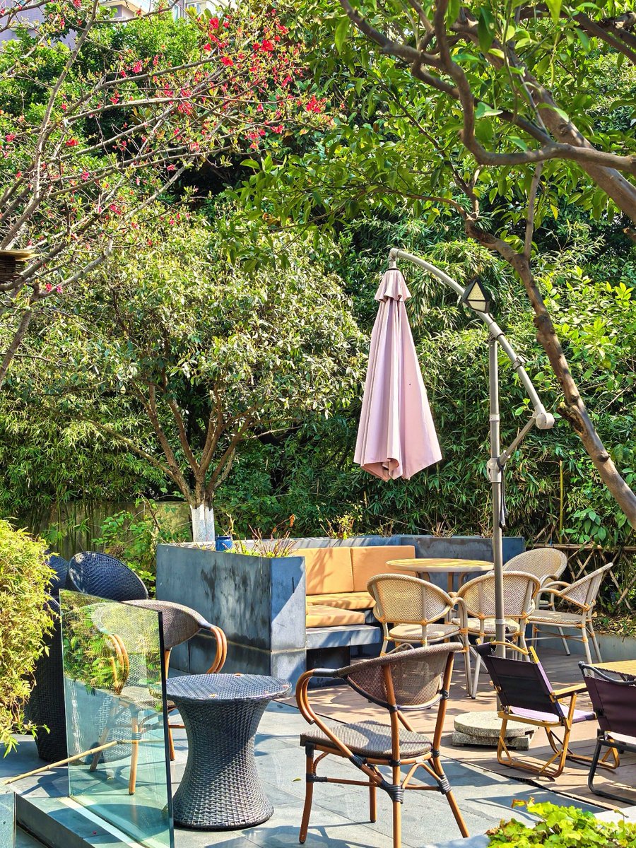 Hope K. Everett tweet media