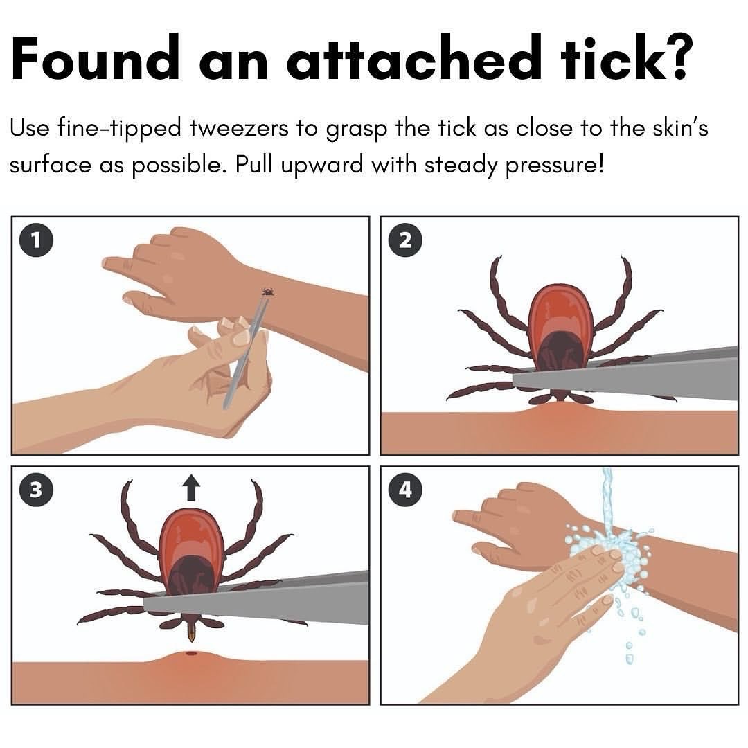 Fairfield Health Dpt tweet media