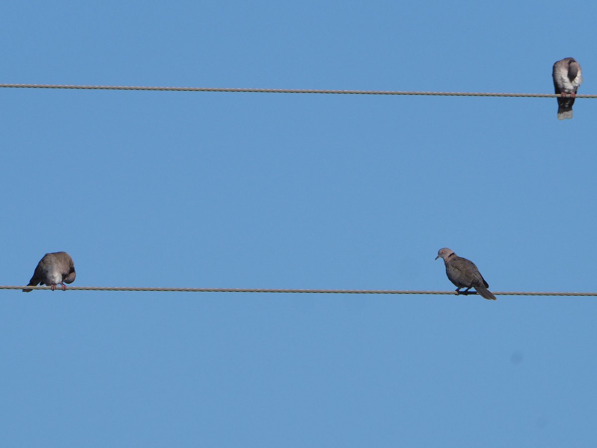 Brian E.Carruthers tweet media