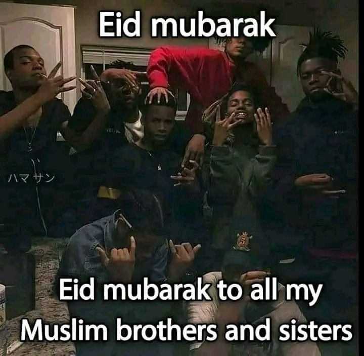 Zensei (comms open) tweet media