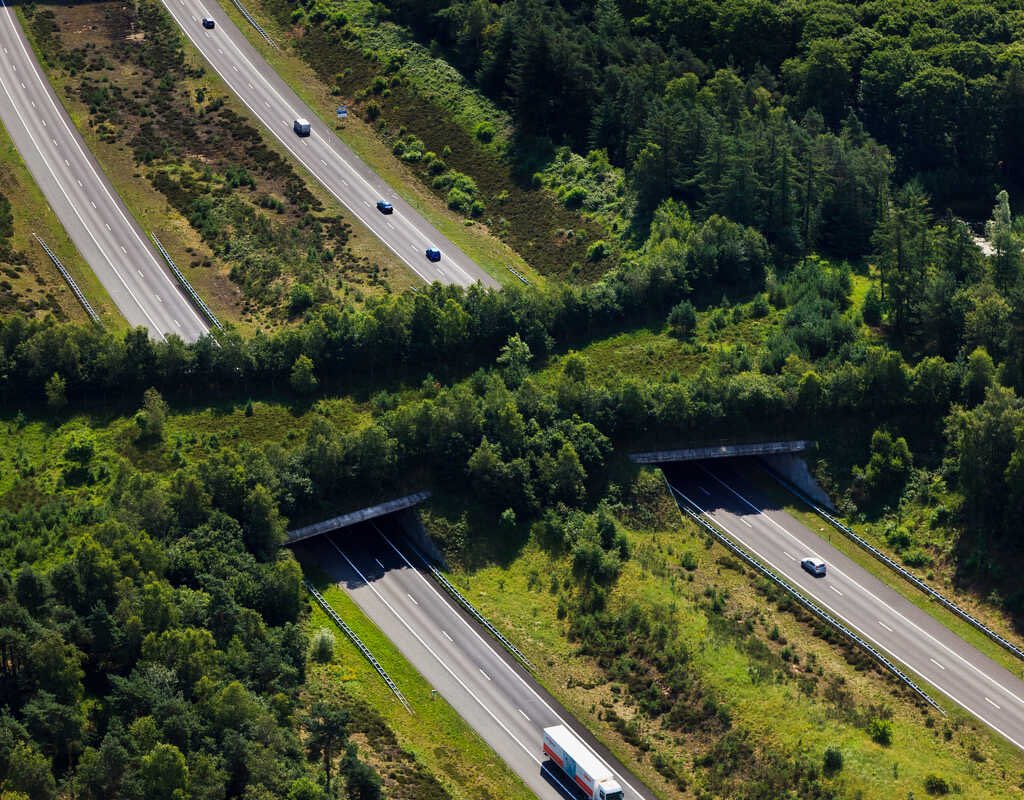 angrycardsfan 🏈 tweet media