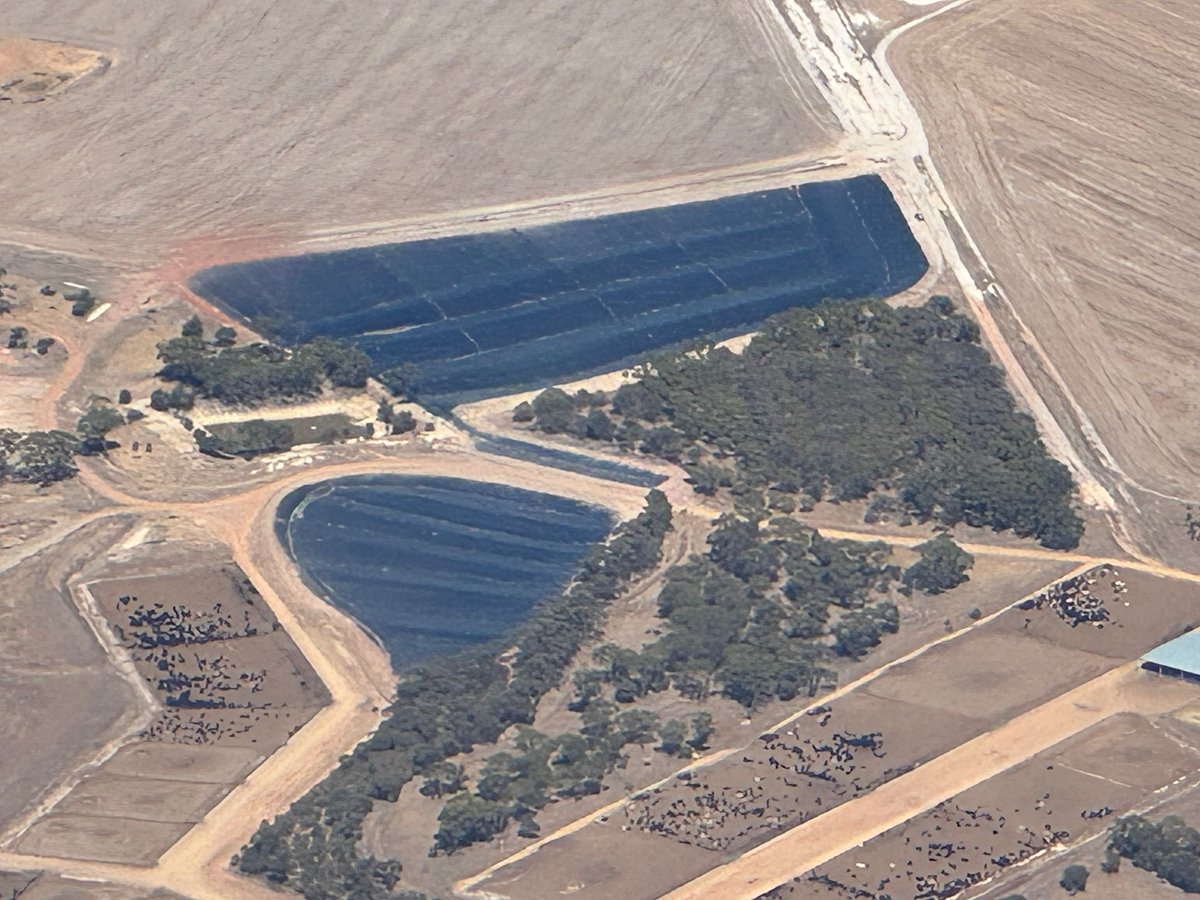 Paul O'Meehan tweet media