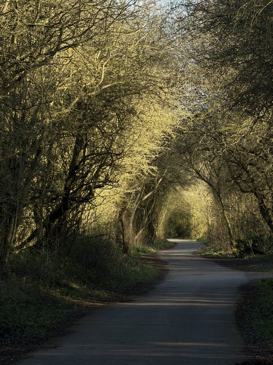 rly cool girl tweet media