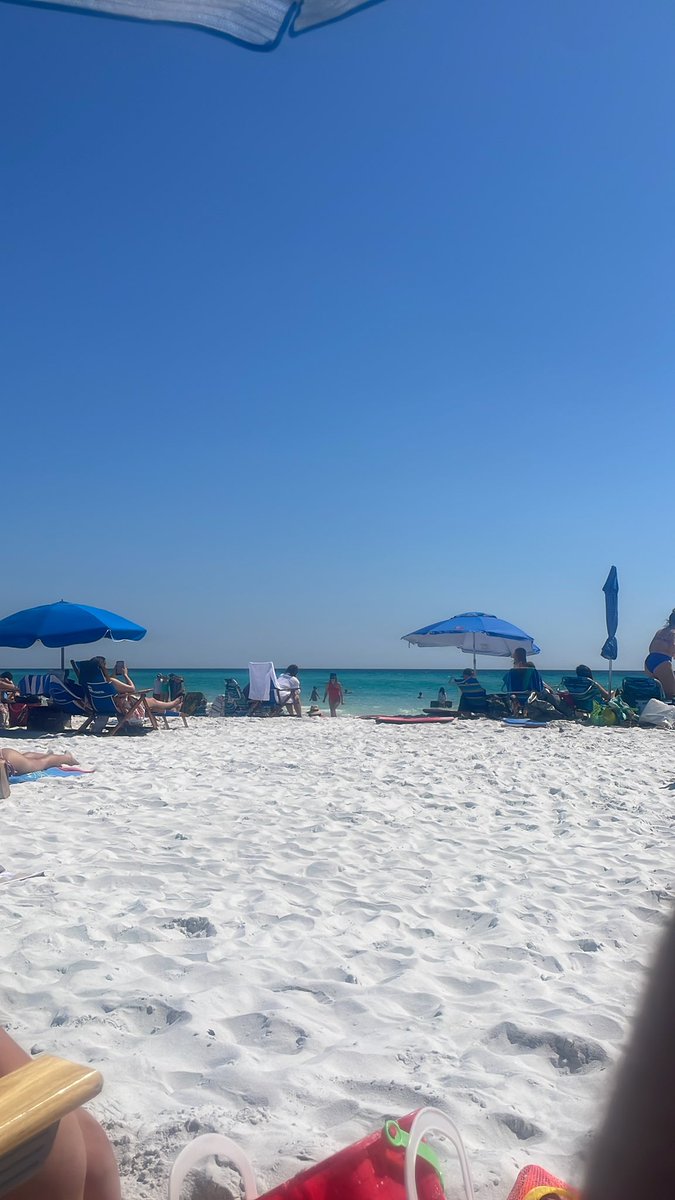 Trever Whiting tweet media