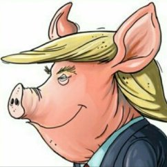 Leo Ferrari tweet media