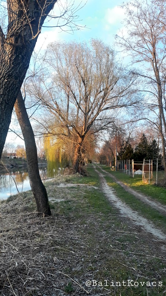 Balint Kovac tweet media