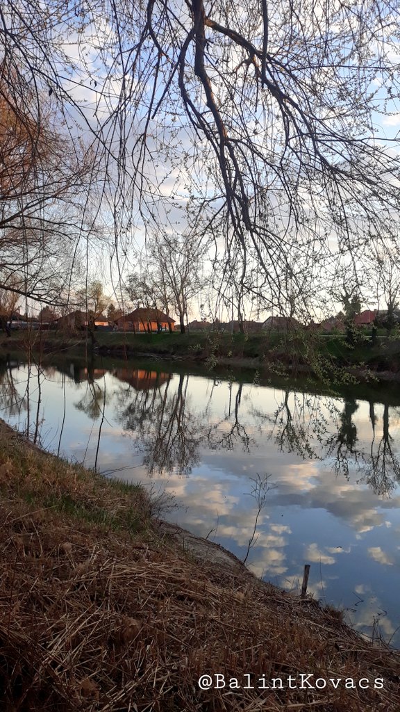 Balint Kovac tweet media