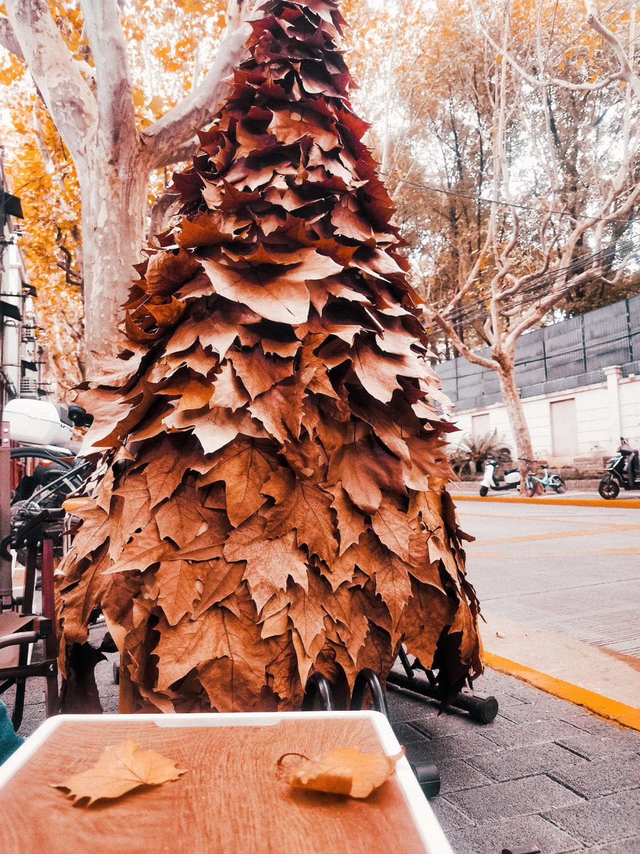 Mr.Paint tweet media