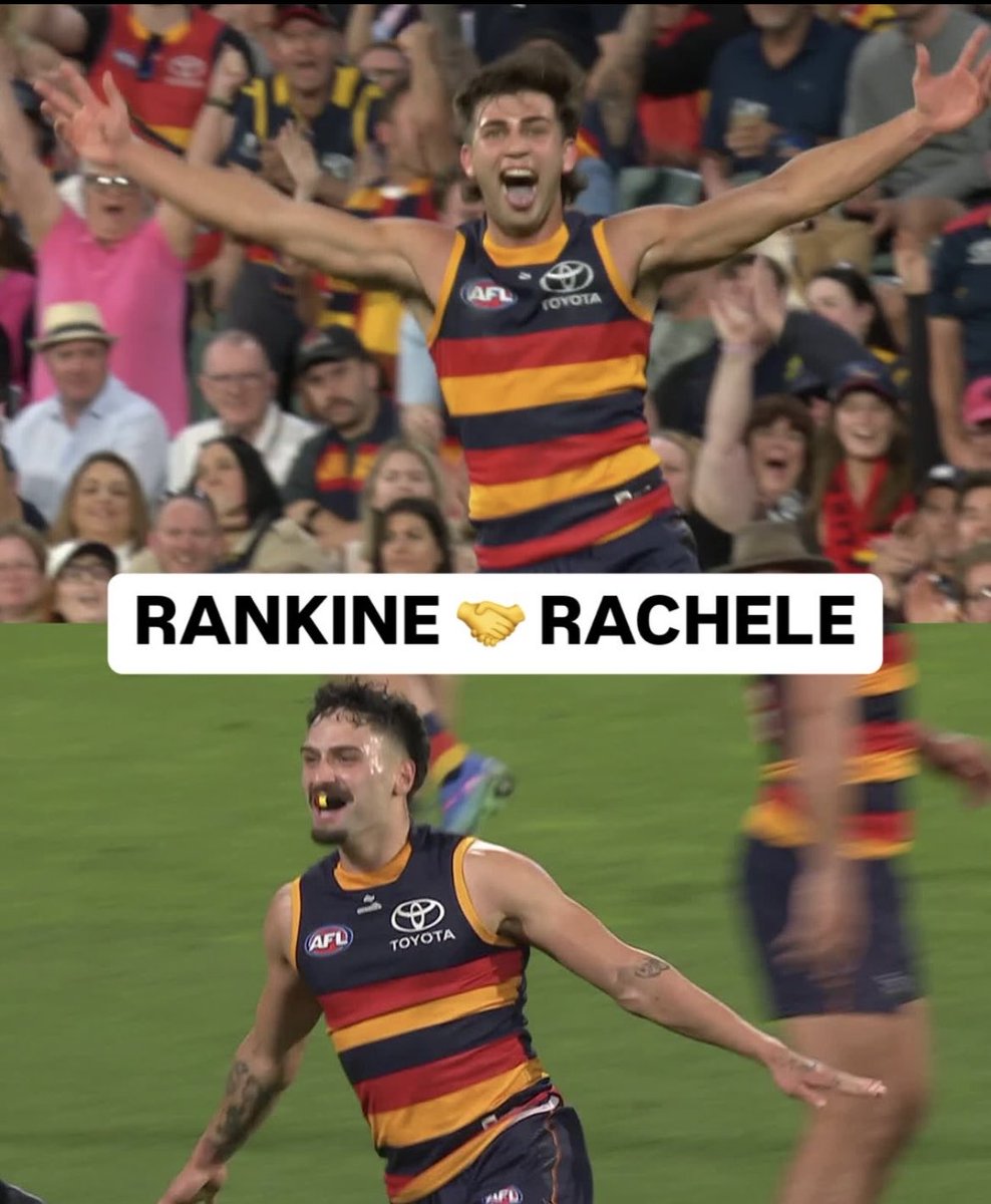 Crickettragic tweet media