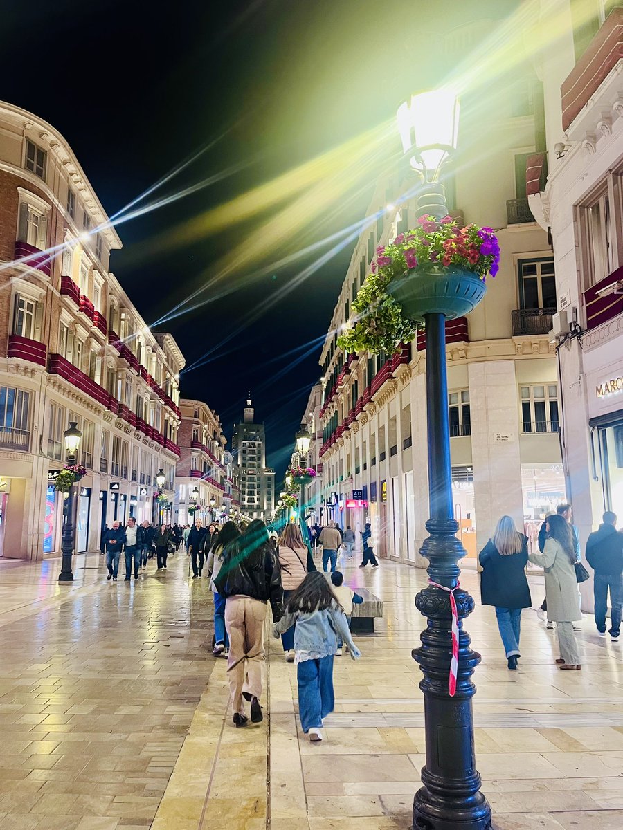 stenvikinpia tweet media