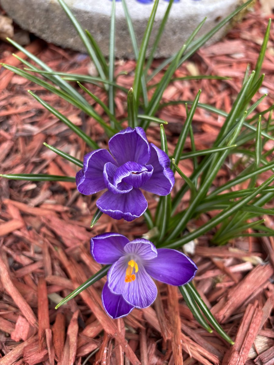 @BobbiSmith6 tweet media