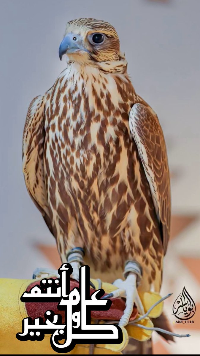 عبدالعزيز المسند tweet media