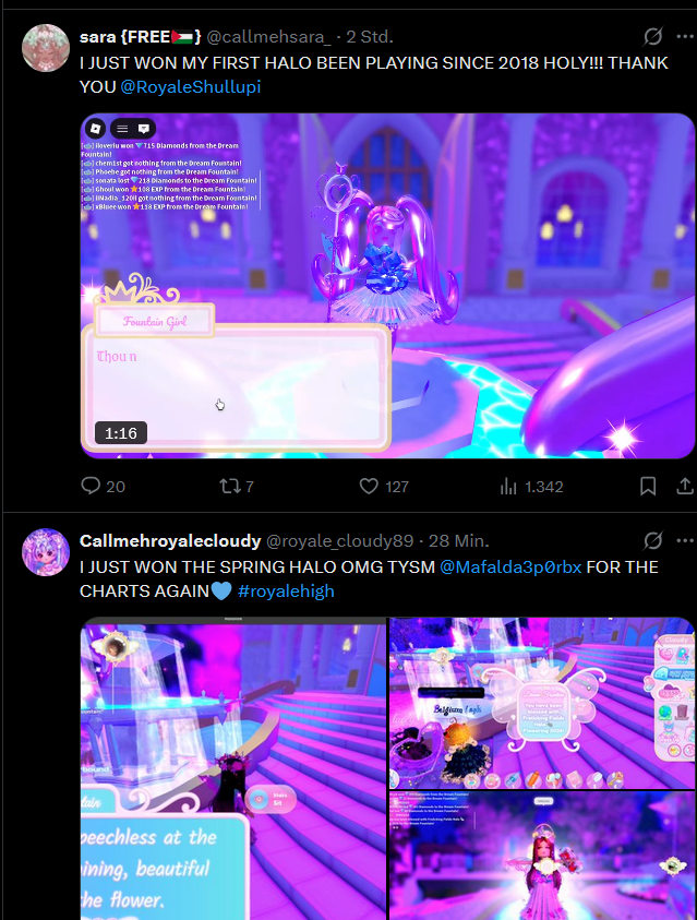 Sleepy Owl | FREE PALESTINE 🍉 tweet media