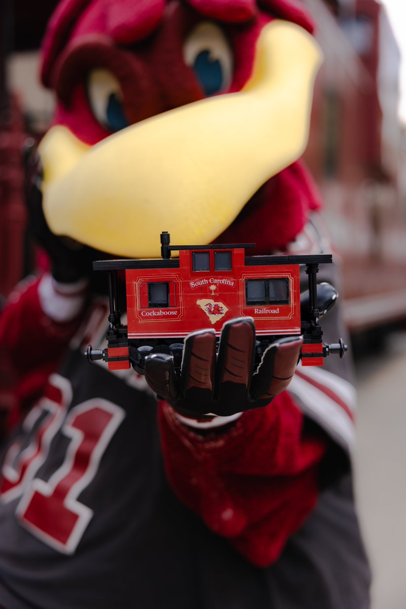 University of South Carolina tweet media