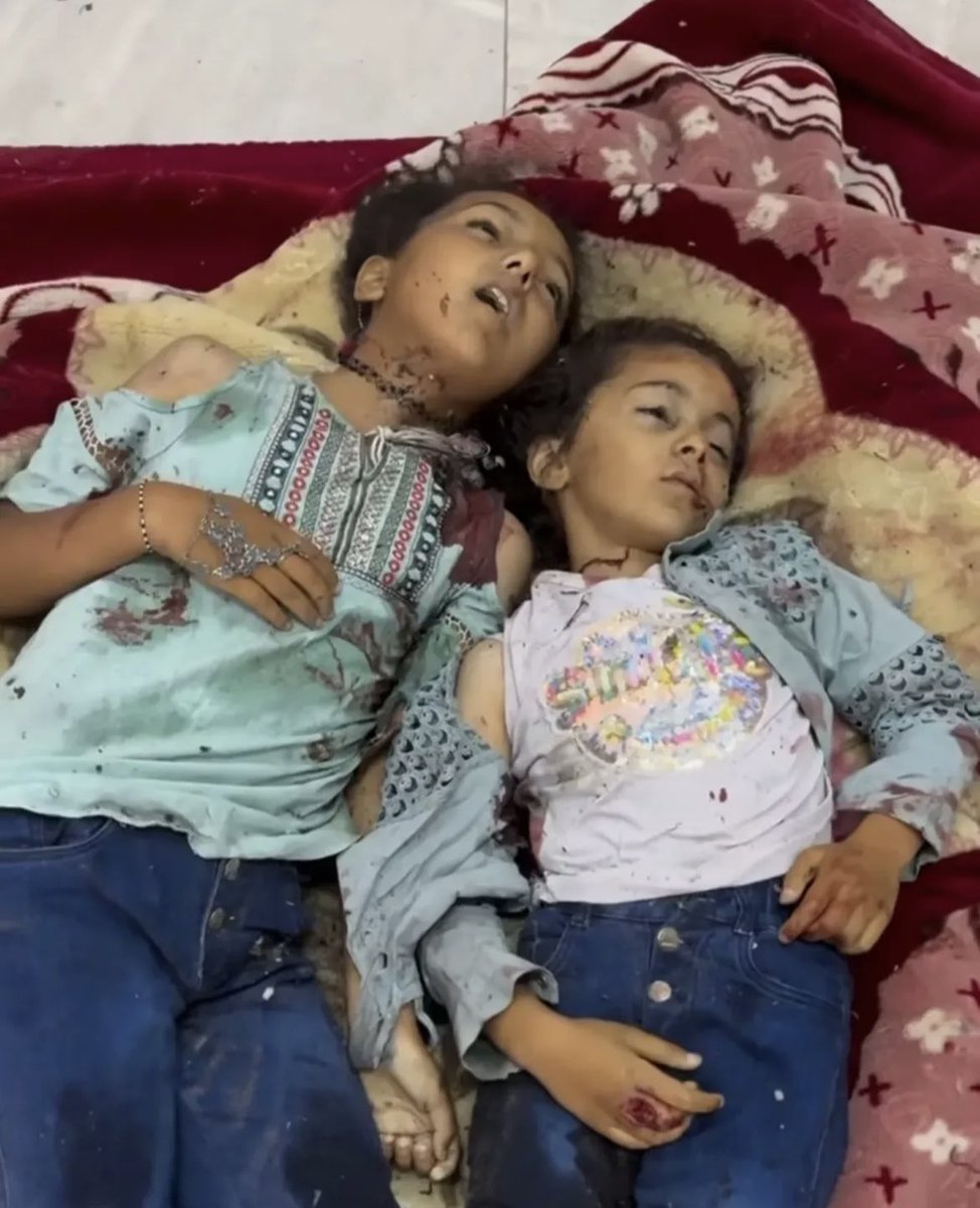 Omar Hamad | عُـمَـرْ 𓂆 tweet media