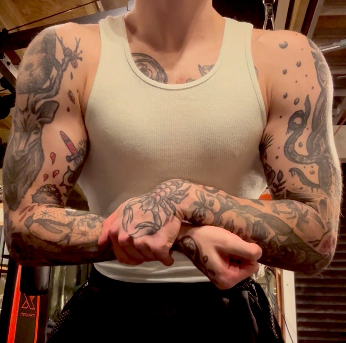 Danny Black ダニー・ブラック tweet media