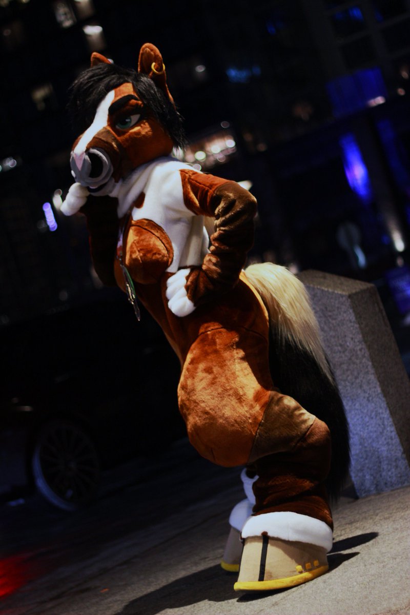 Daz 🐺💜 tweet media