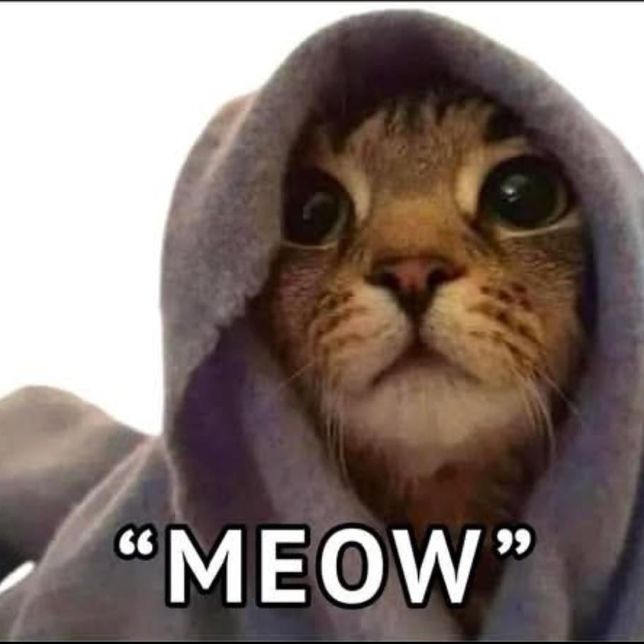 The Rubber Chicken🇨🇦 tweet media