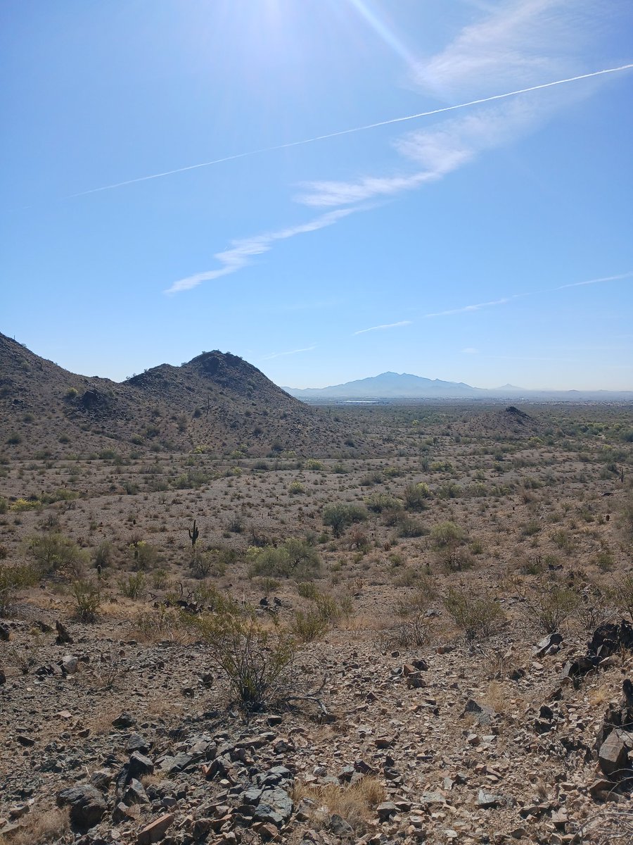 "The best view comes after the hardest climb"

Hiking in Skyline park Arizona 🏜 ❤️ 

Love the views and pretty rocks, thankfully only saw lizards  and no rattlesnakes....not gonna sugar coat it, it was not an easy hike!