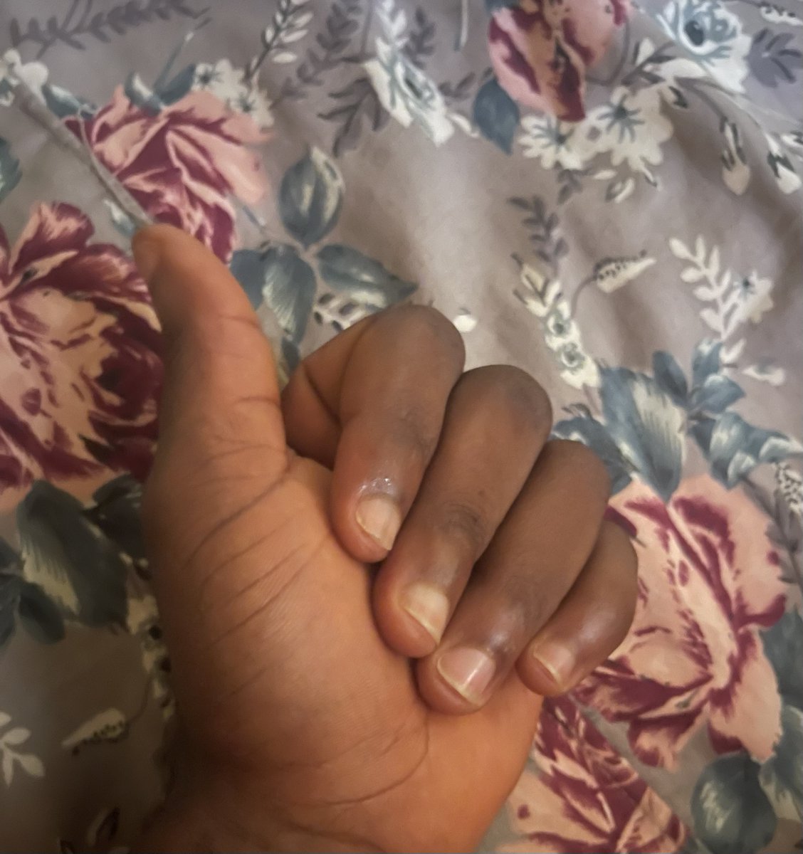 Nevada Alexander tweet media