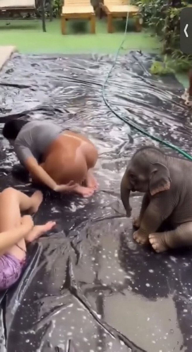 Kino Cox tweet media