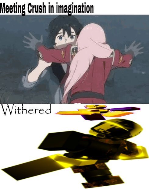 HMH (follows back) tweet media