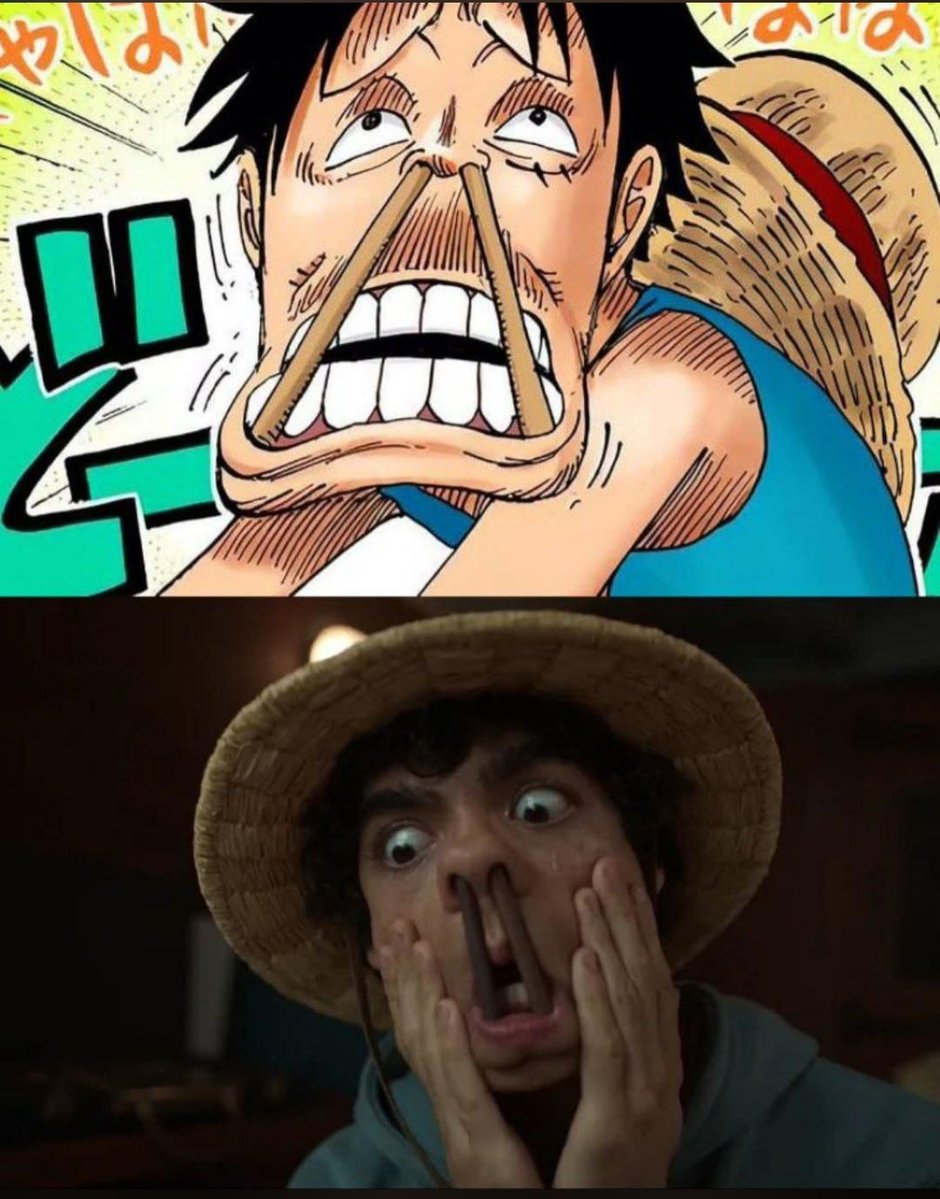 Grizzly Magnum tweet media