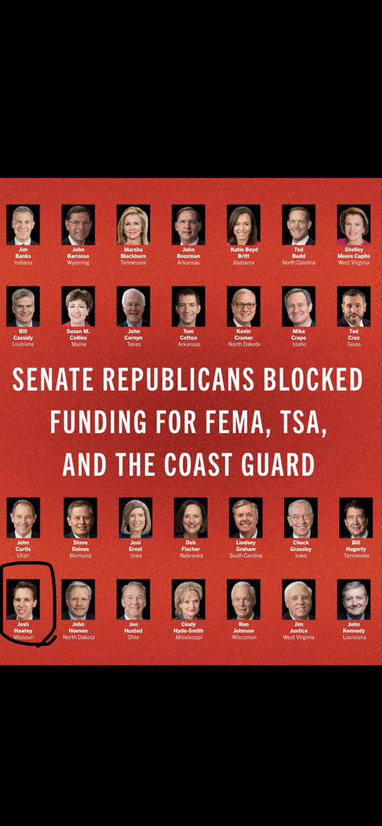 JoeyBonanno tweet media