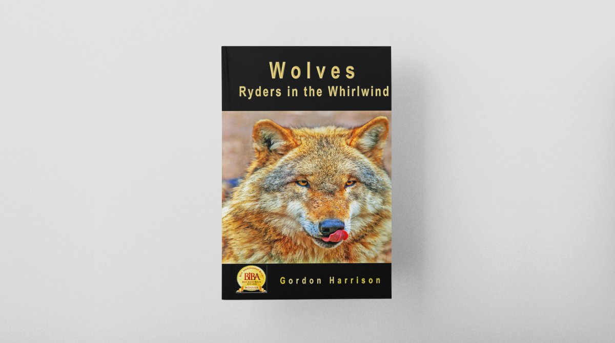 BestSelling_Author tweet media