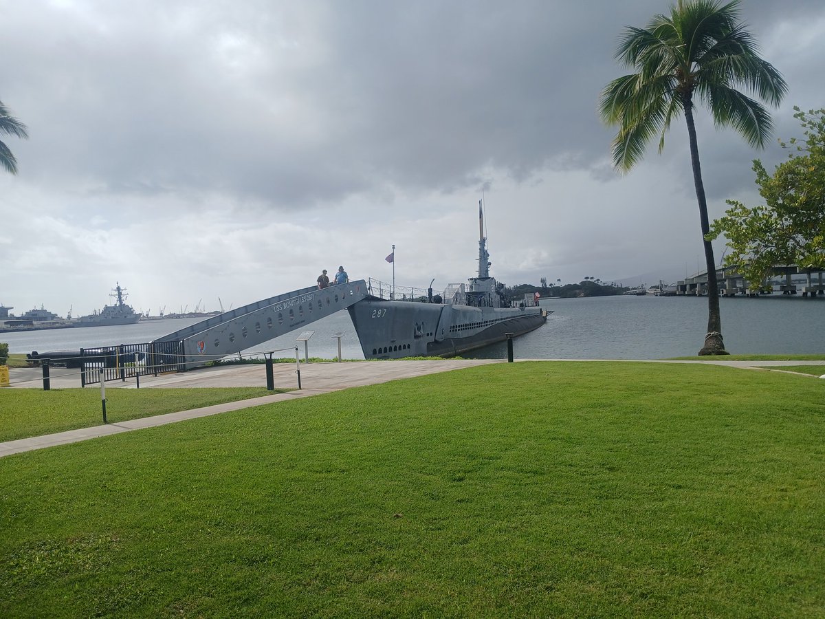 SquidPina tweet media