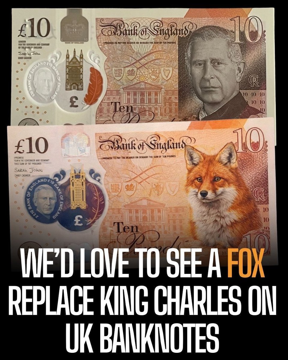 Protect the Wild tweet media