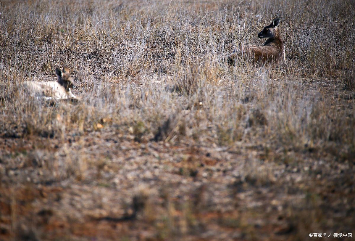 hossam.mohamed13 tweet media