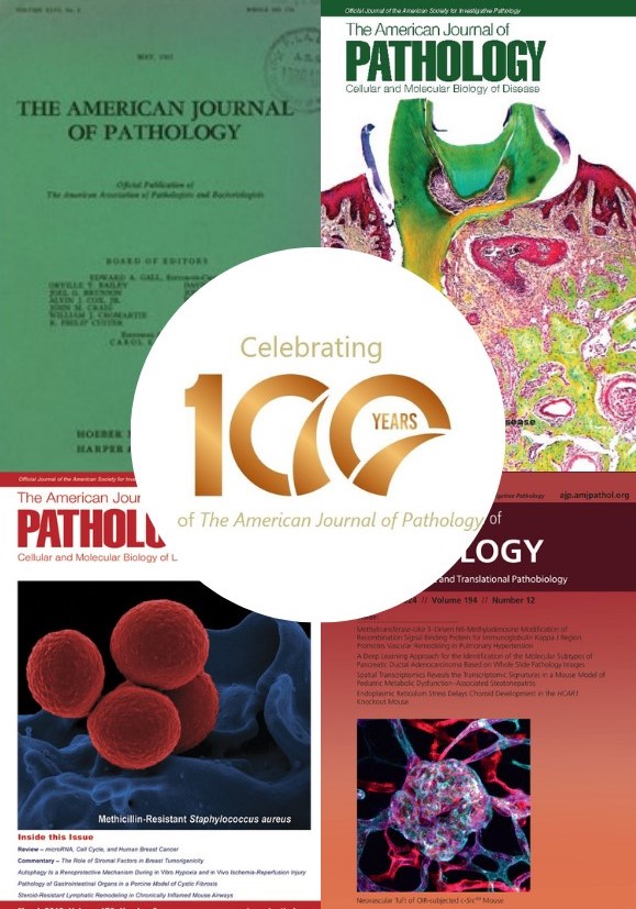 The American Journal of Pathology tweet media