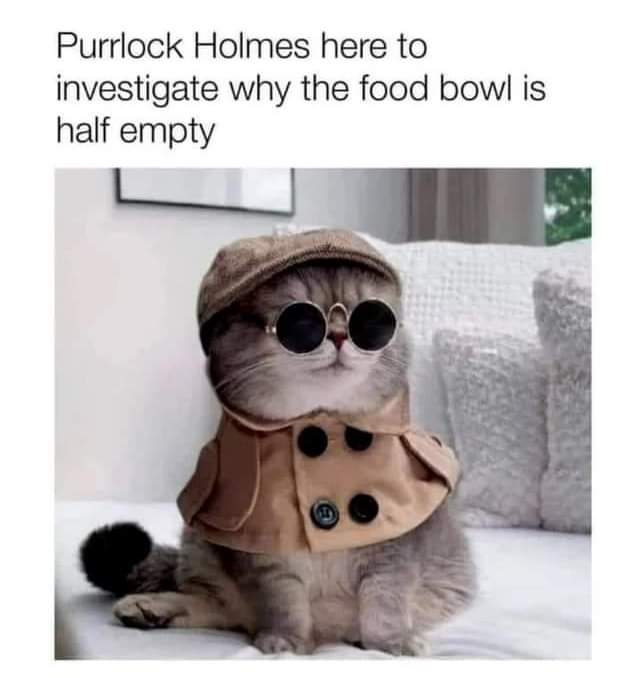 WholesomeMemes tweet media