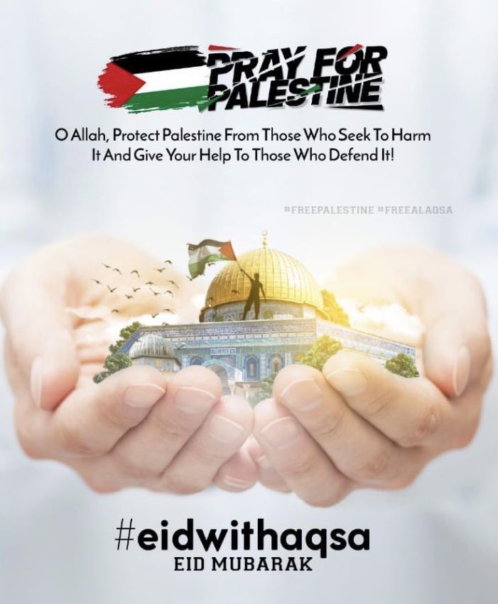 AbuShak 2.0 🍁 tweet media