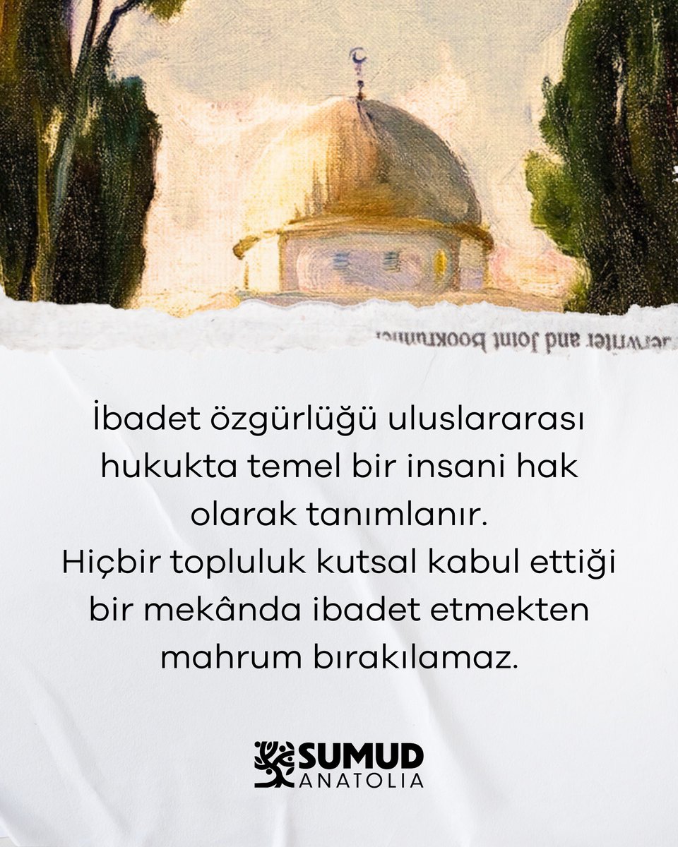 Sumud Anatolia tweet media