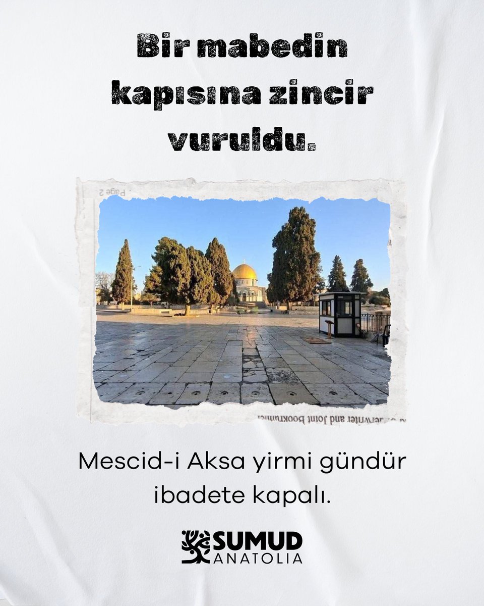 Sumud Anatolia tweet media
