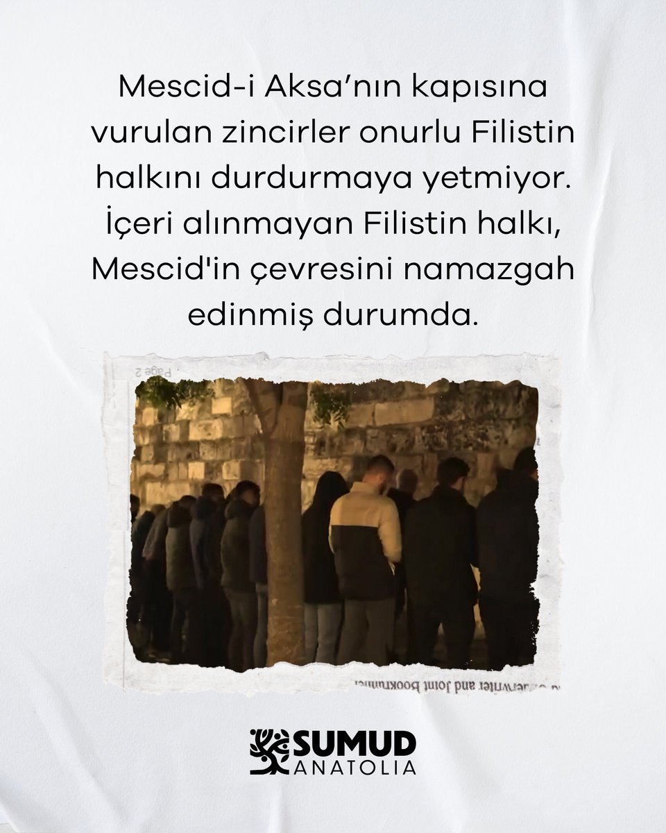 Sumud Anatolia tweet media