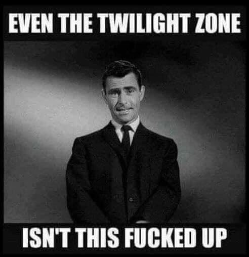 Call_Me_Chaos 🇺🇸 tweet media