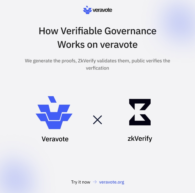 VeraVote tweet media