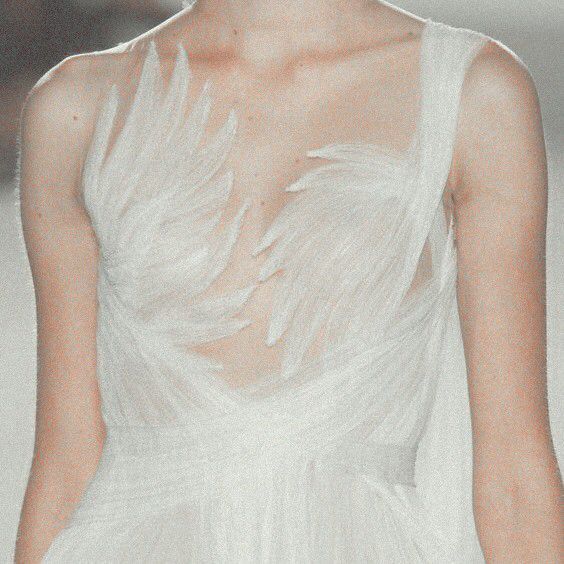 sheri₊˚⊹ 𑣿 tweet media