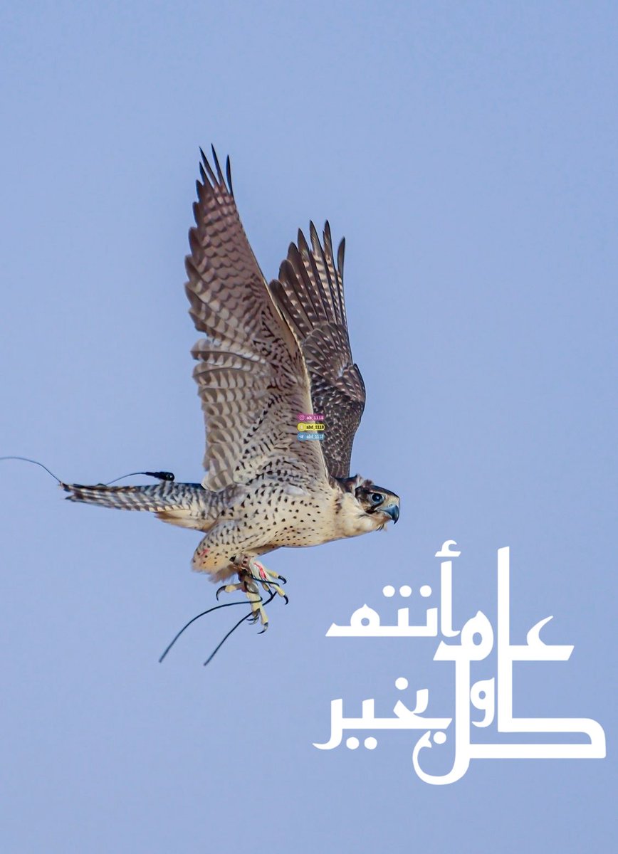 عبدالعزيز المسند tweet media