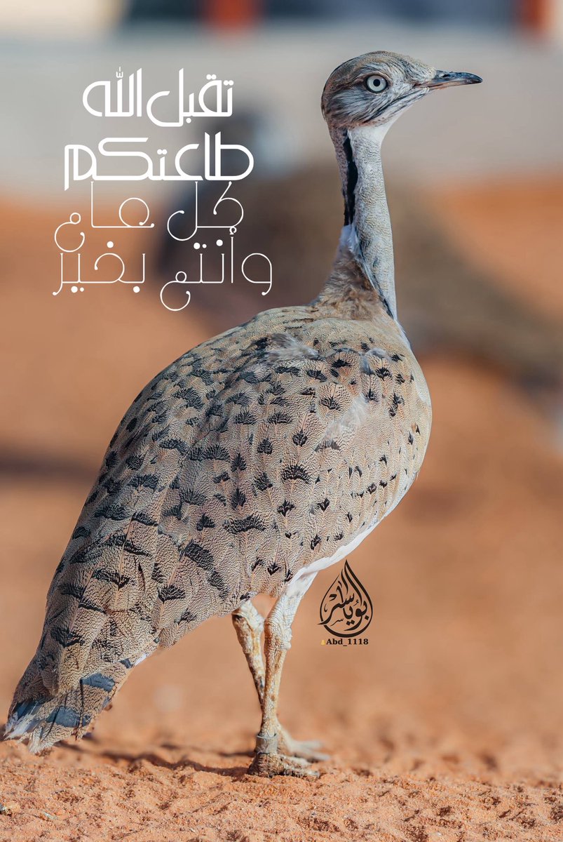 عبدالعزيز المسند tweet media