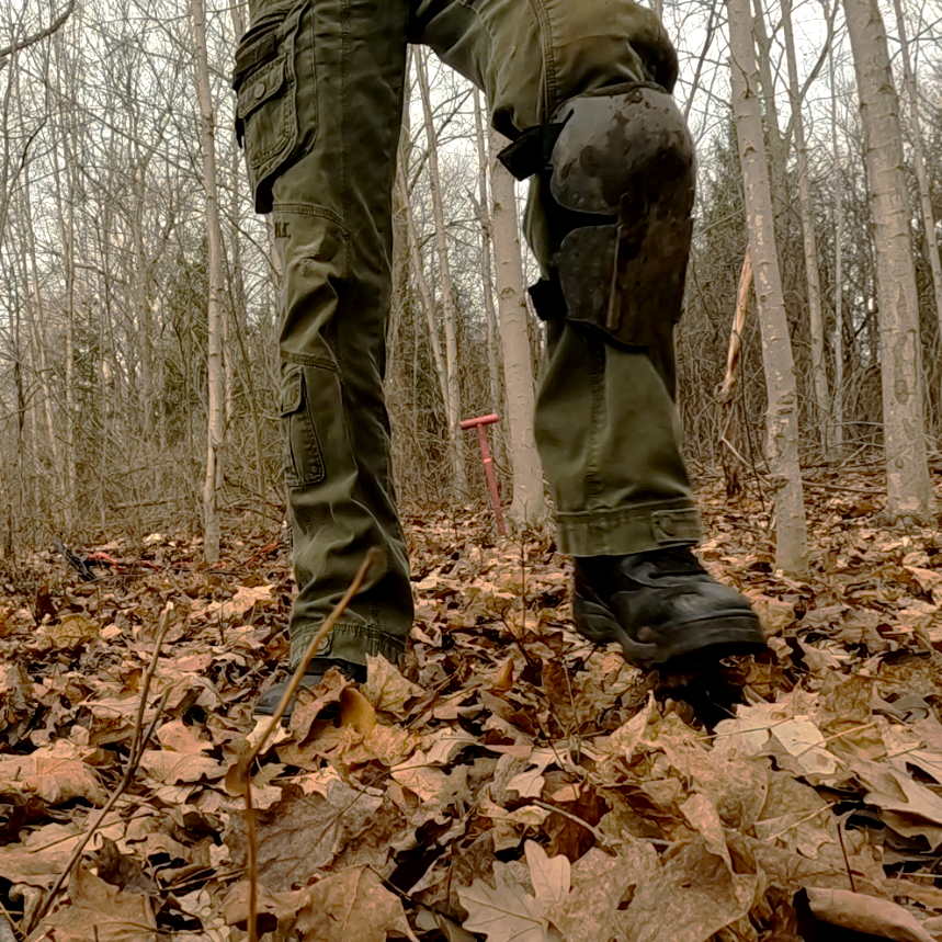 Digging Canuck "X" tweet media