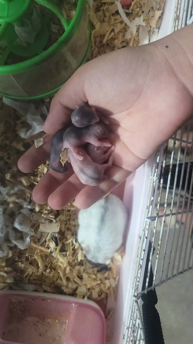 🩵COMPUTER WOMAN🩵 tweet media