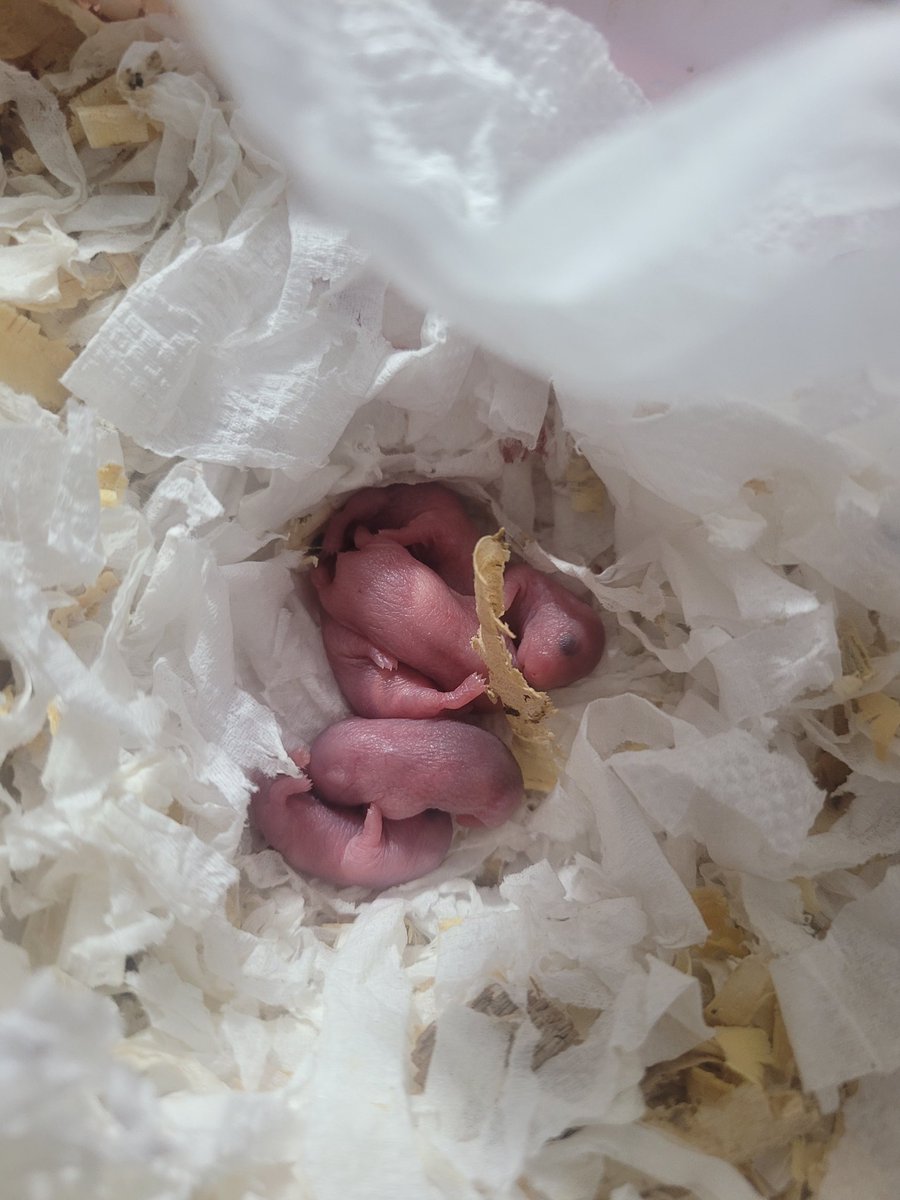 🩵COMPUTER WOMAN🩵 tweet media