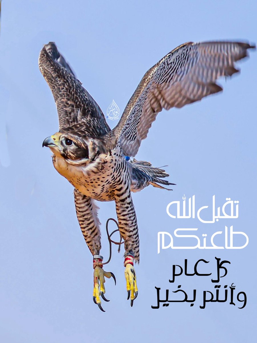 عبدالعزيز المسند tweet media